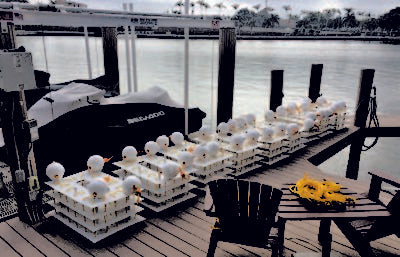 Mini Artificial Reef at Your Dock
