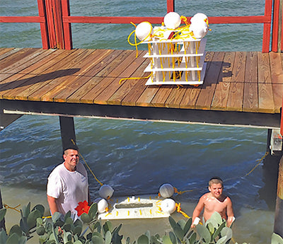 MIYC: First to Install Mini Reef